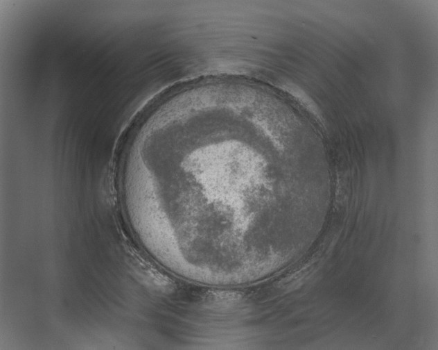 X0000073840878200608171004