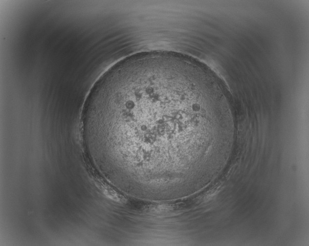 X0000073840879200608171004