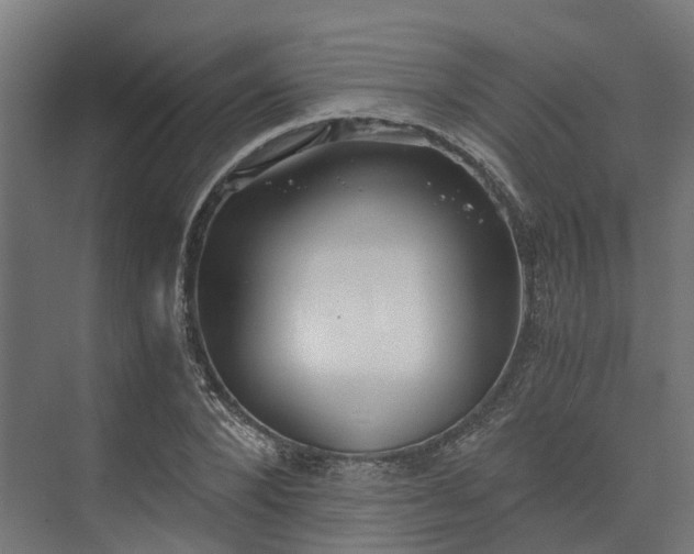 X0000073840880200608171004