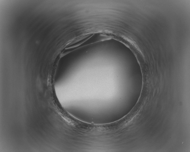 X0000073840881200608171004