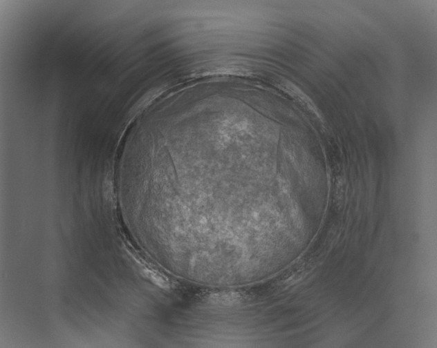 X0000073840882200608171004