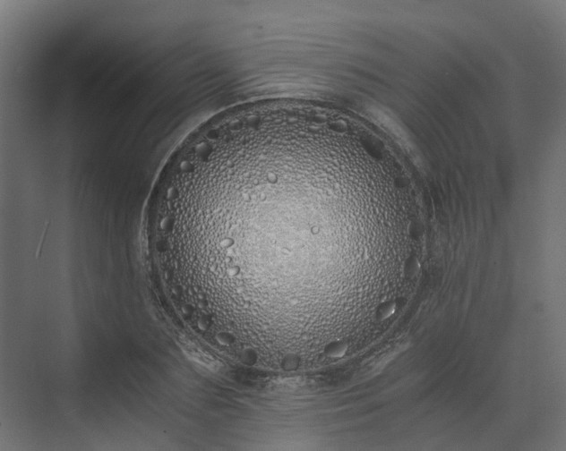 X0000073840883200608171004