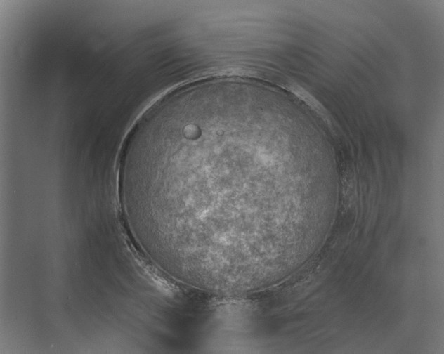 X0000073840886200608171004