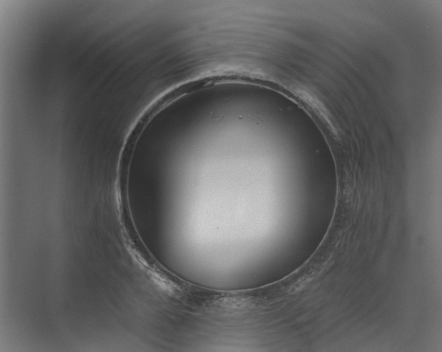 X0000073840888200608171004