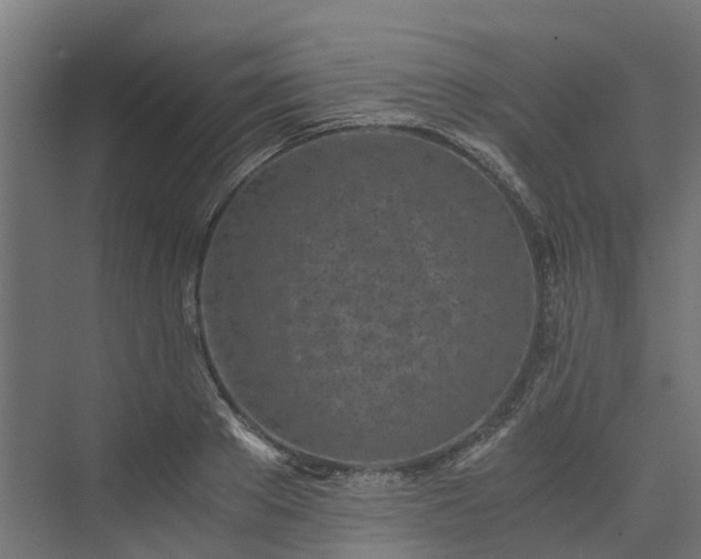 X0000073840889200608171004