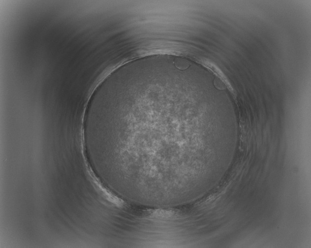 X0000073840890200608171004