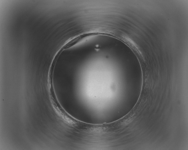 X0000073840892200608171004