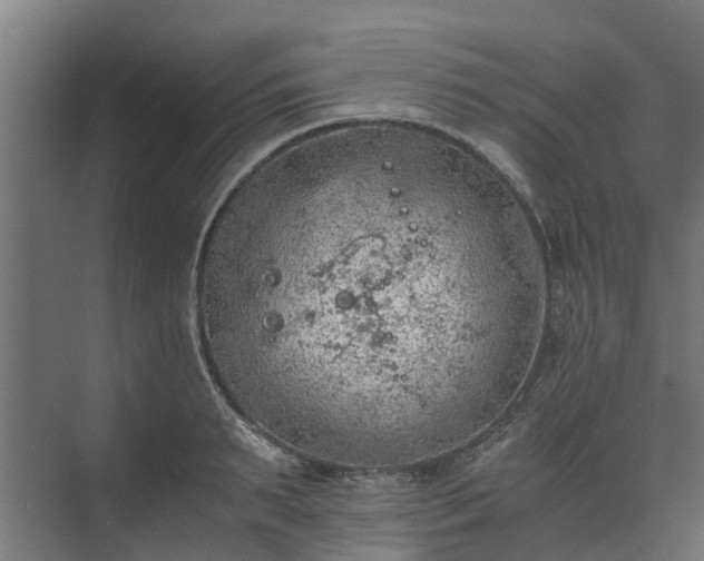 X0000073840895200608171004