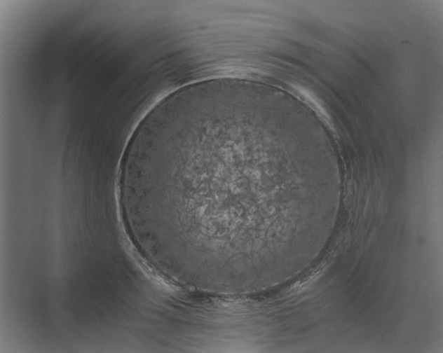 X0000073840899200608171004