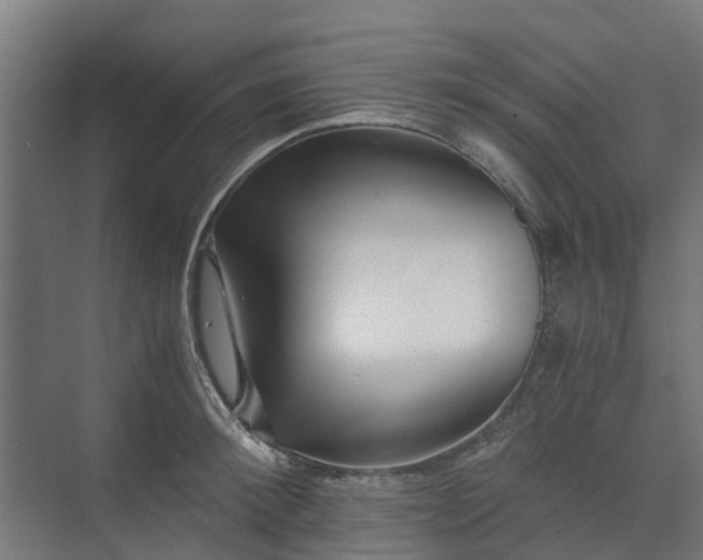 X0000073840900200608171004