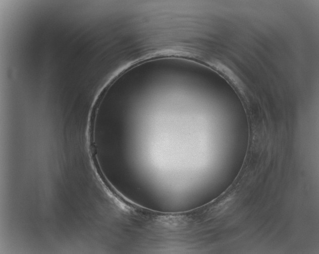 X0000073840902200608171004