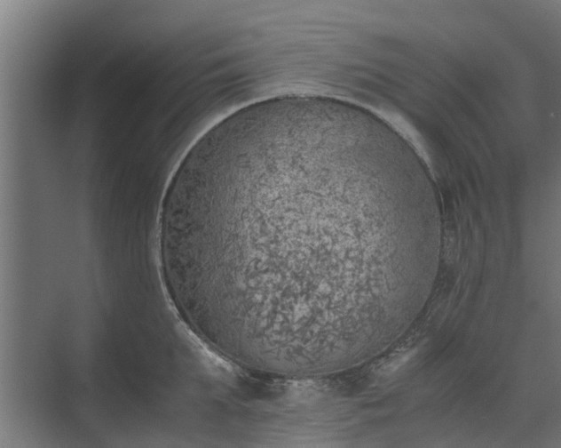 X0000073840903200608171004