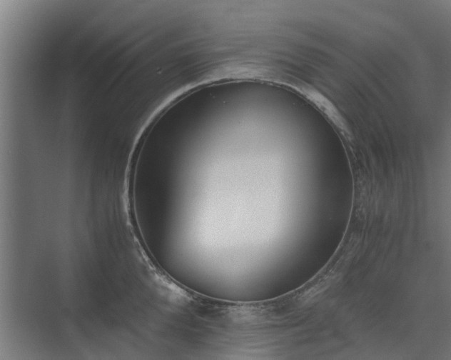 X0000073840904200608171004