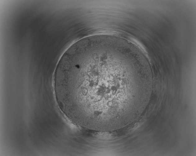 X0000073840907200608171003