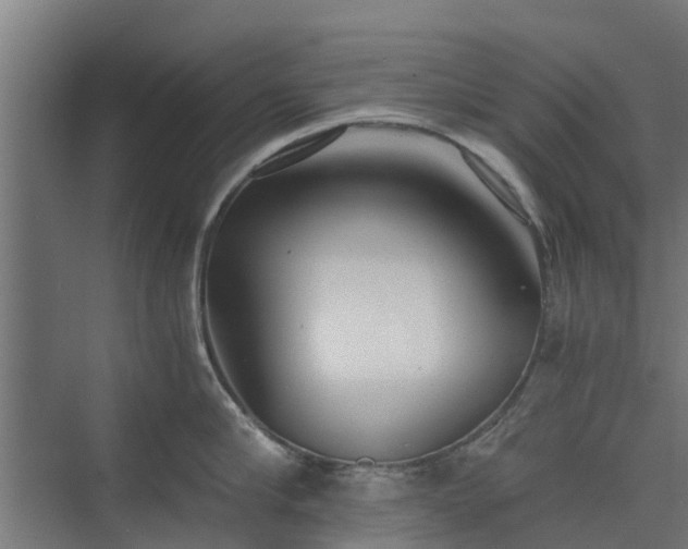 X0000073840910200608171003