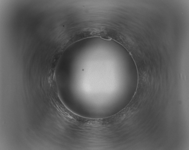 X0000073840914200608171003