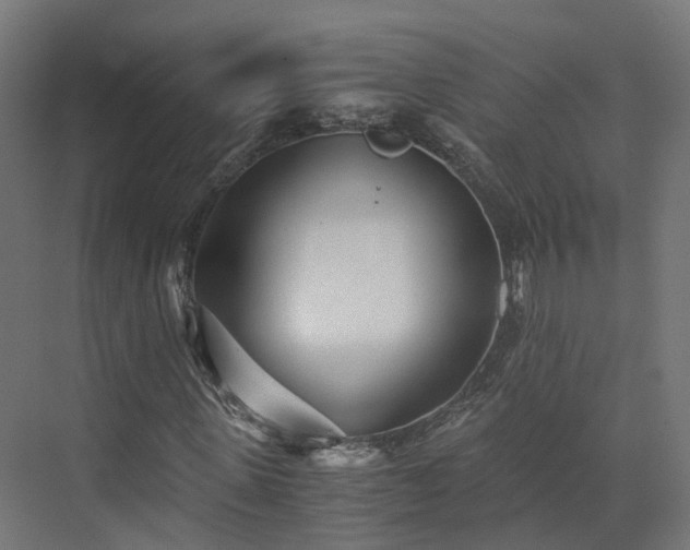 X0000073840915200608171003