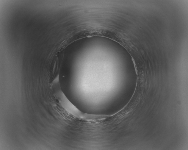 X0000073840916200608171003