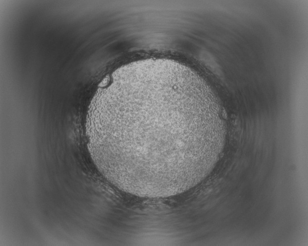 X0000073840918200608171003