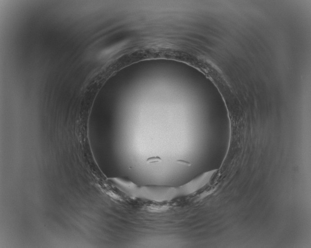 X0000073840919200608171003