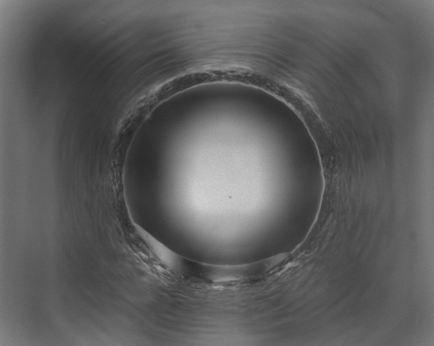 X0000073840920200608171003