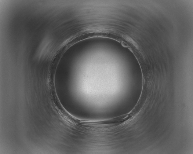 X0000073840922200608171003