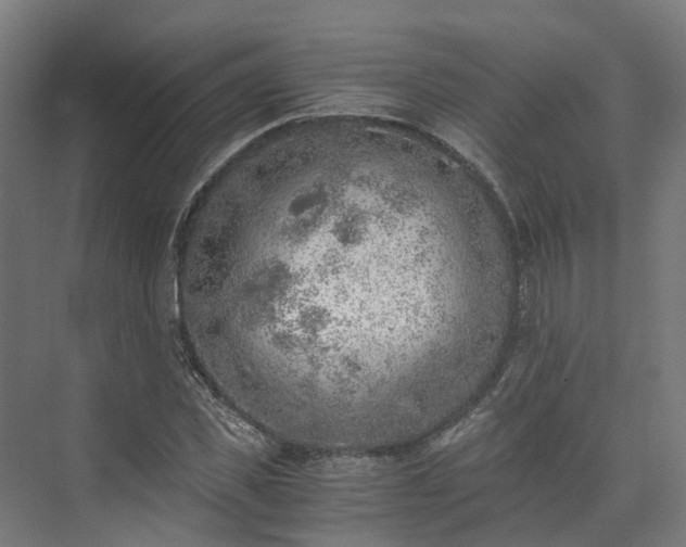 X0000073840925200608171003