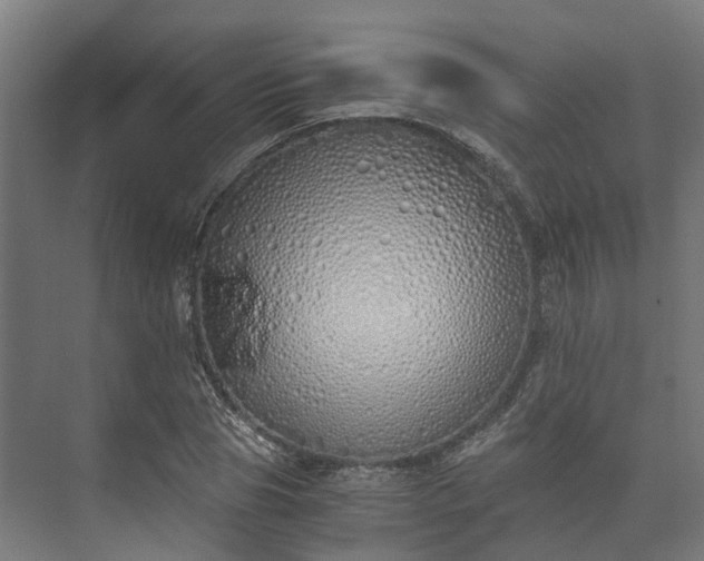 X0000073840929200608171003