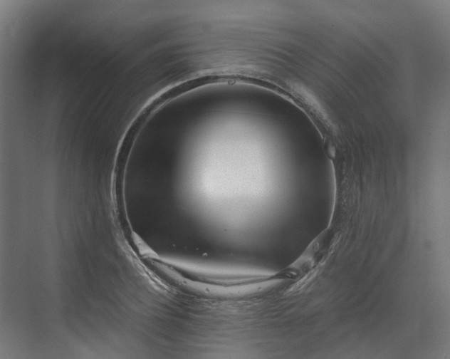 X0000073840932200608171003