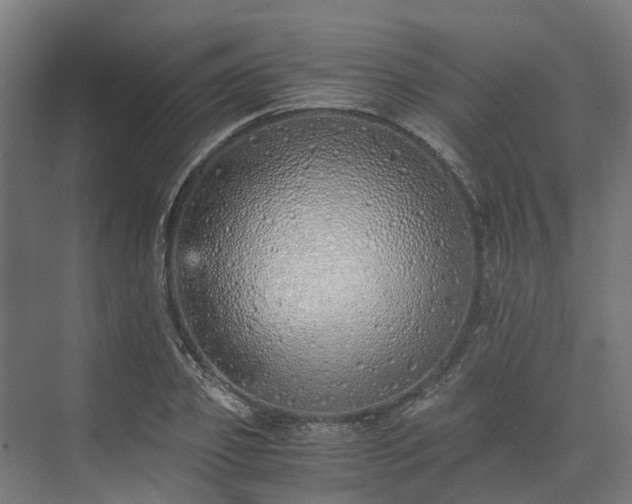 X0000073840933200608171003