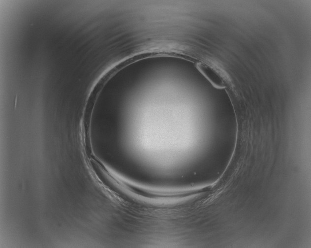 X0000073840936200608171003