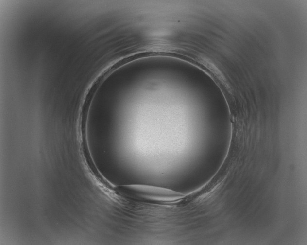 X0000073840939200608171003