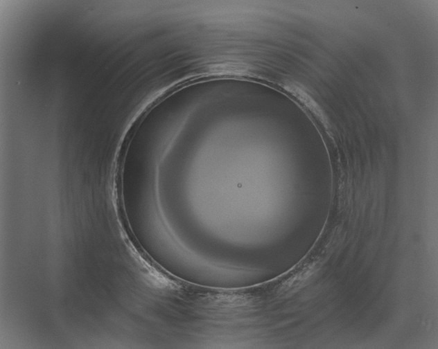 X0000073840941200608171003