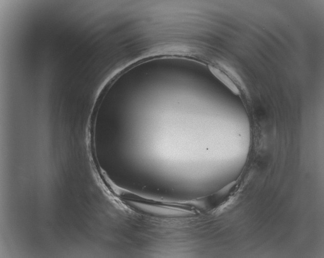 X0000073840944200608171003