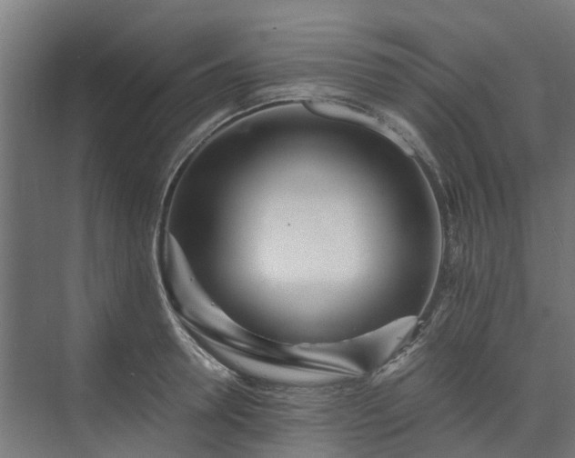 X0000073840946200608171003