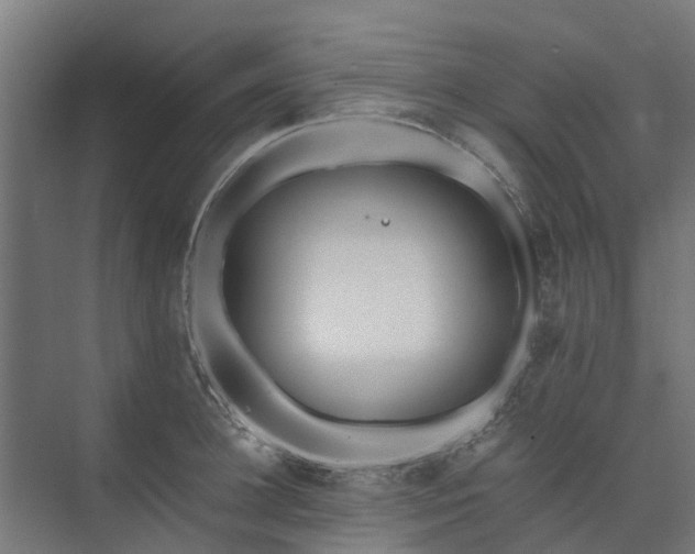 X0000073840948200608171003