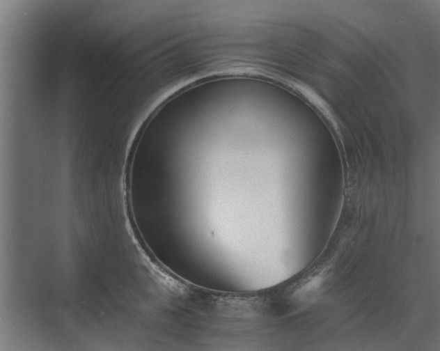 X0000073840951200608171003