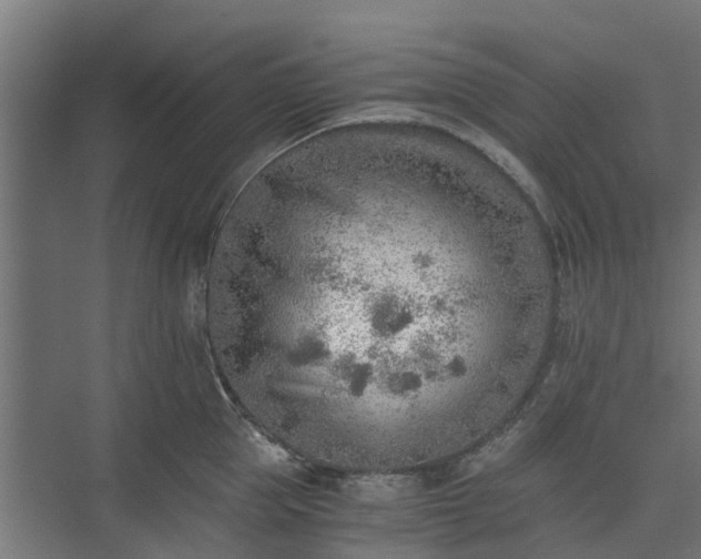 X0000073840953200608171003