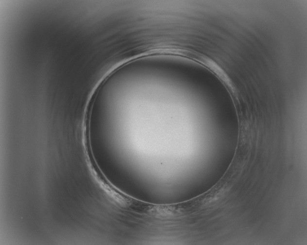 X0000073840955200608171003