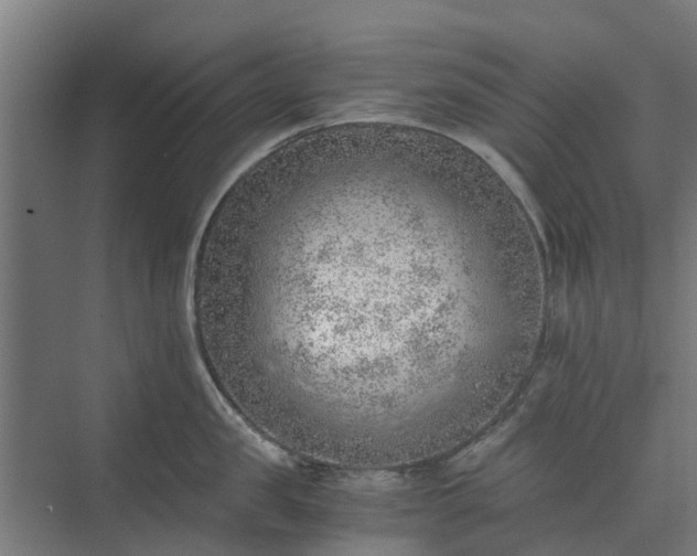 X0000073840957200608171003