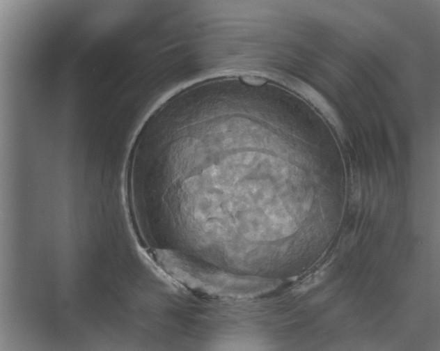 X0000073840958200608171003