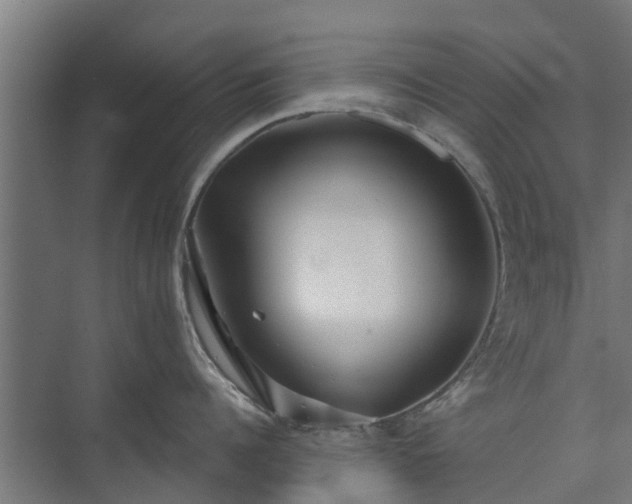 X0000073840960200608171003