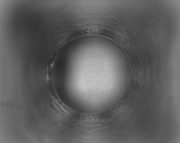 X0000073840962200608171003