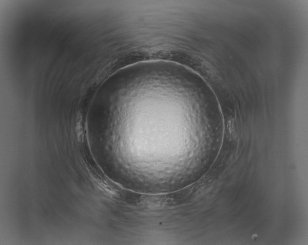 X0000073840963200608171003