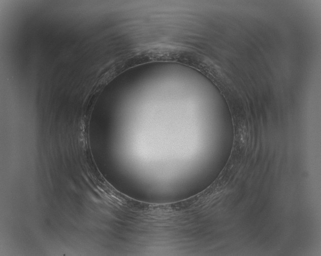 X0000073840964200608171003