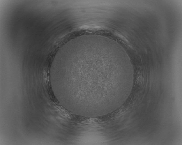 X0000073840966200608171002