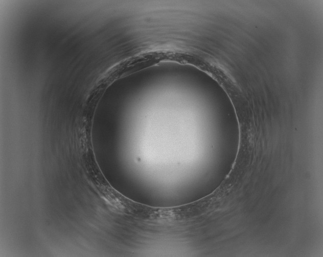 X0000073840968200608171002