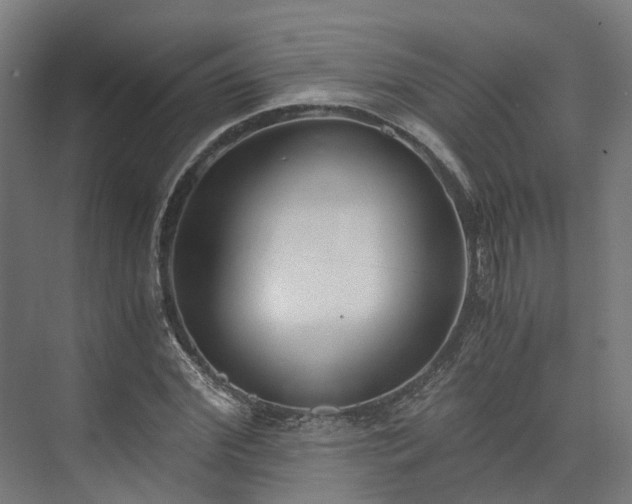 X0000073840972200608171002