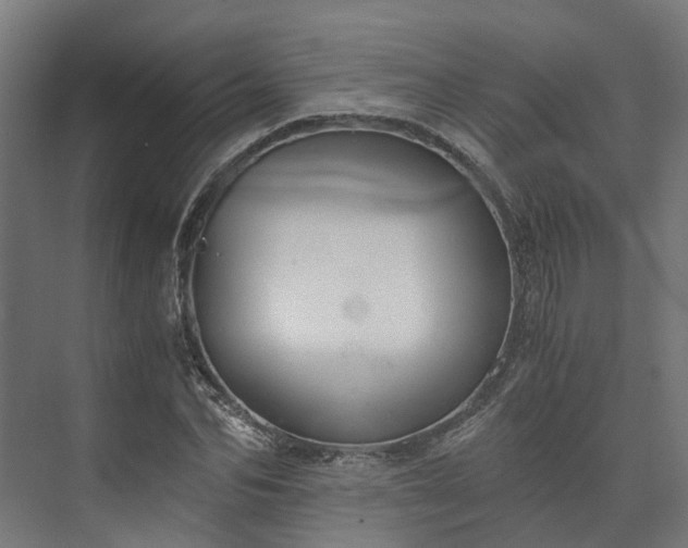 X0000073840974200608171002