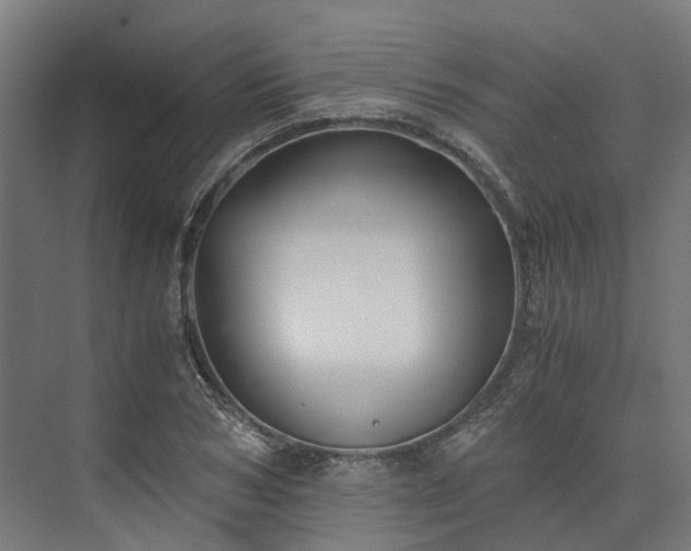 X0000073840978200608171002